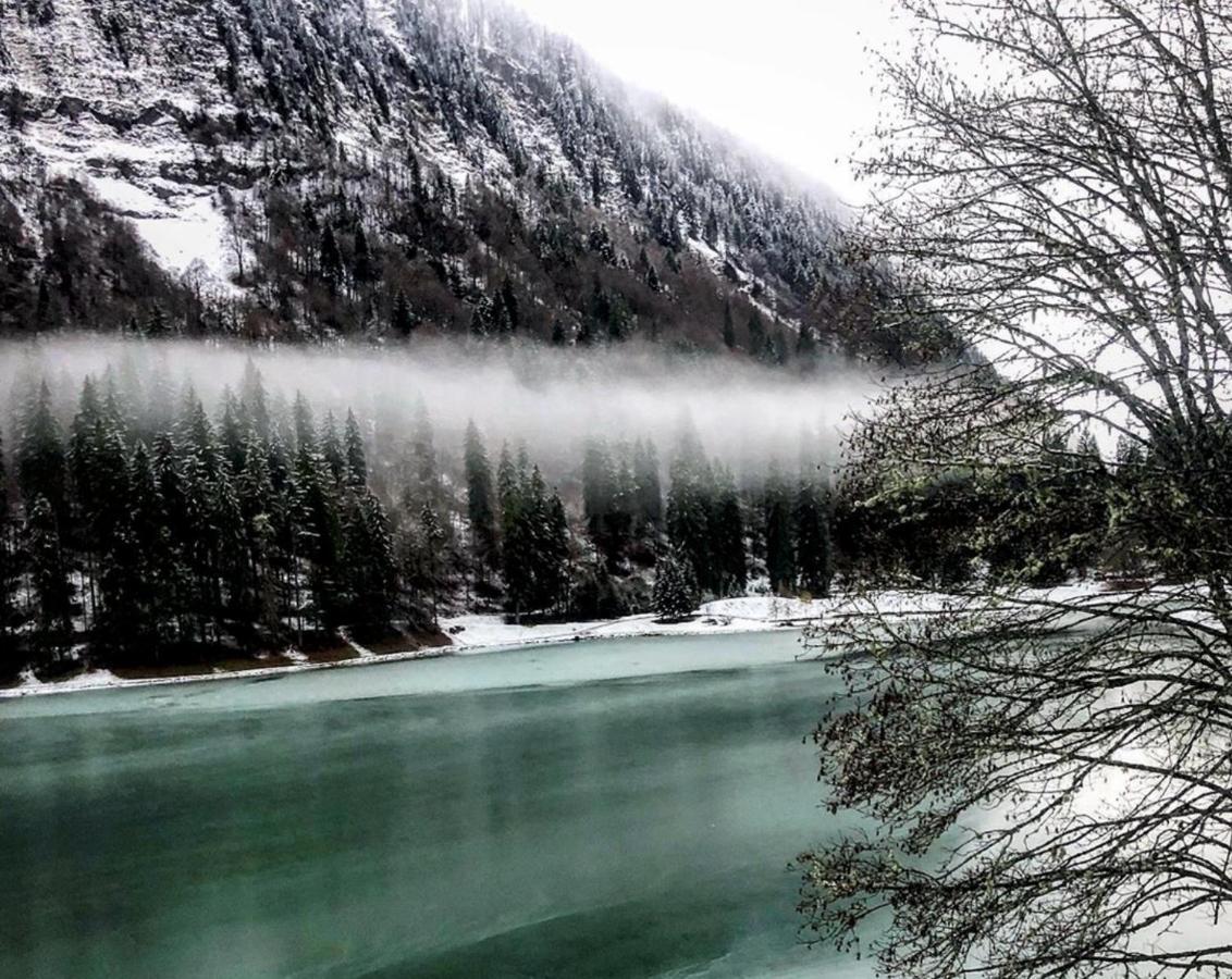 Micro-Lodge, Le Petit Nid D'Amour Montriond Eksteriør billede