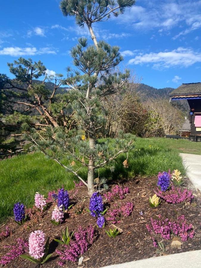 Micro-Lodge, Le Petit Nid D'Amour Montriond Eksteriør billede