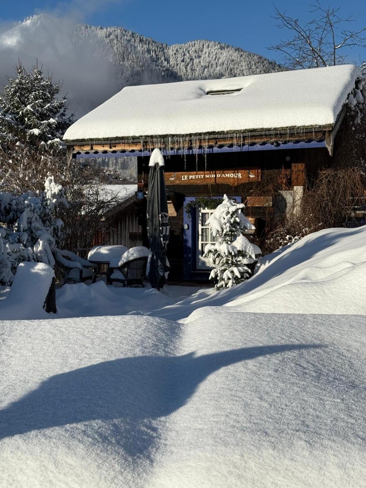 Micro-Lodge, Le Petit Nid D'Amour Montriond Eksteriør billede