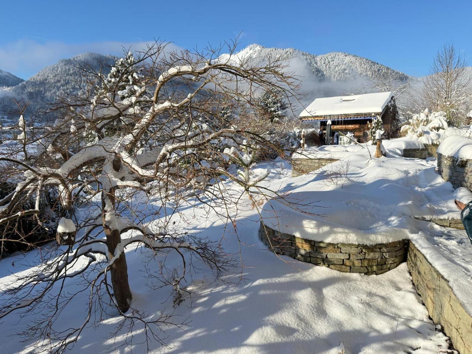 Micro-Lodge, Le Petit Nid D'Amour Montriond Eksteriør billede