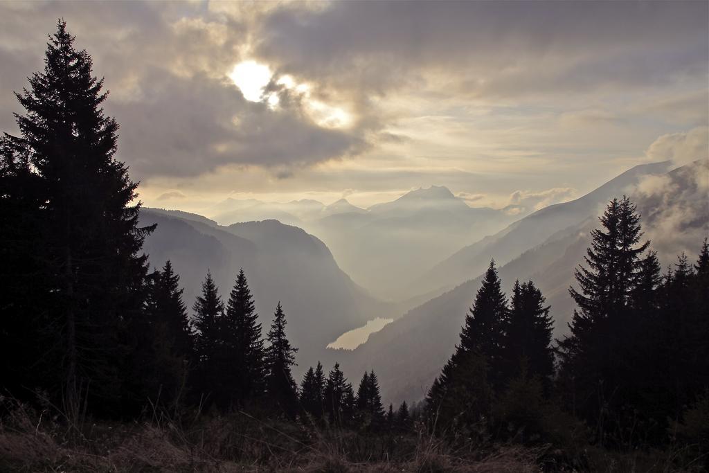 Micro-Lodge, Le Petit Nid D'Amour Montriond Værelse billede