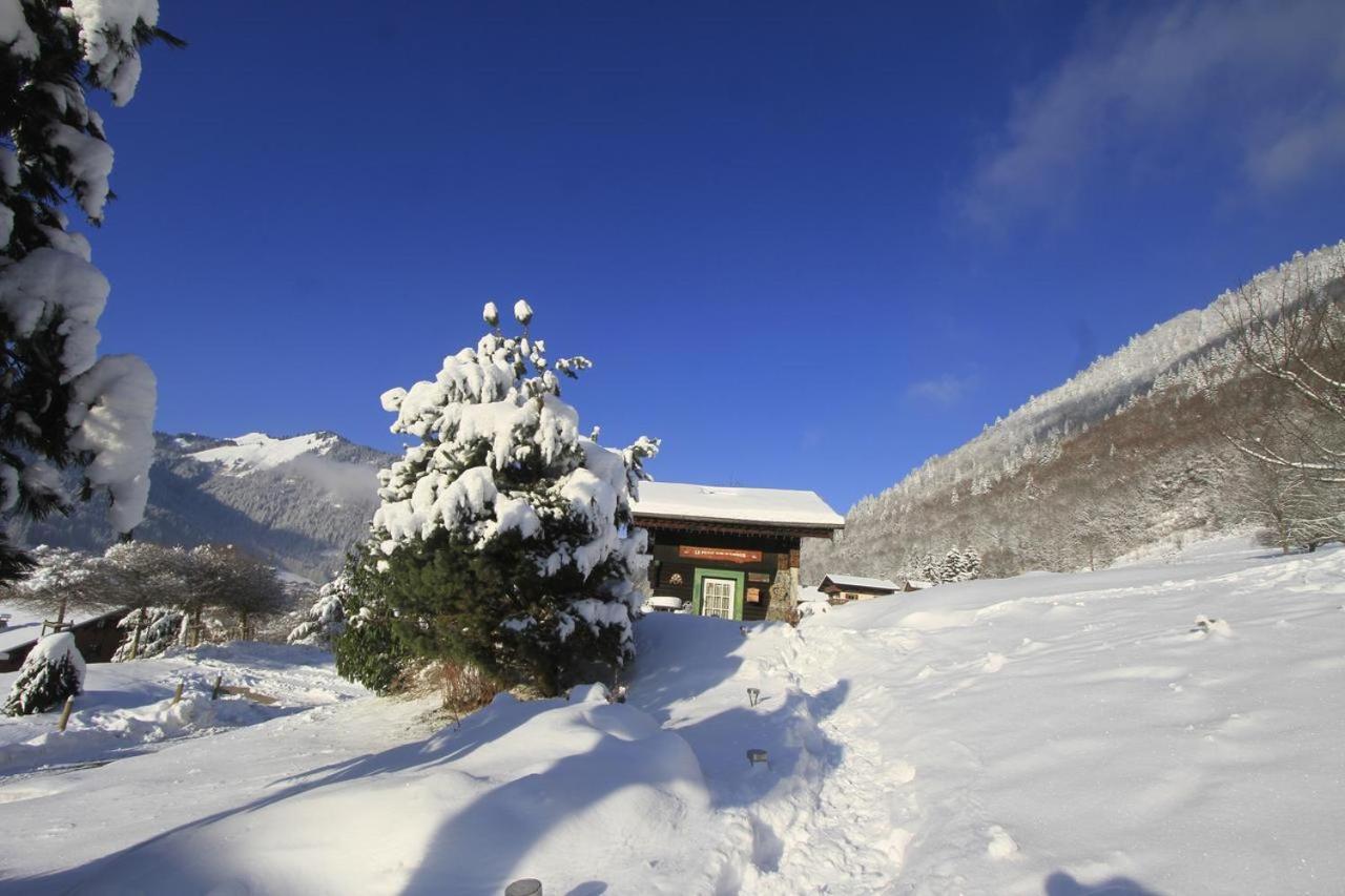 Micro-Lodge, Le Petit Nid D'Amour Montriond Eksteriør billede